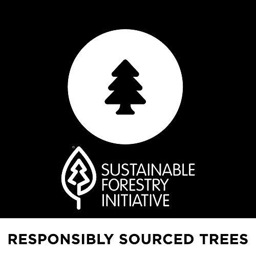 Vanity Fair Vanity Fair Everyday Casual Paper Napkins, Classic White, 100 Count (Pack of 12)