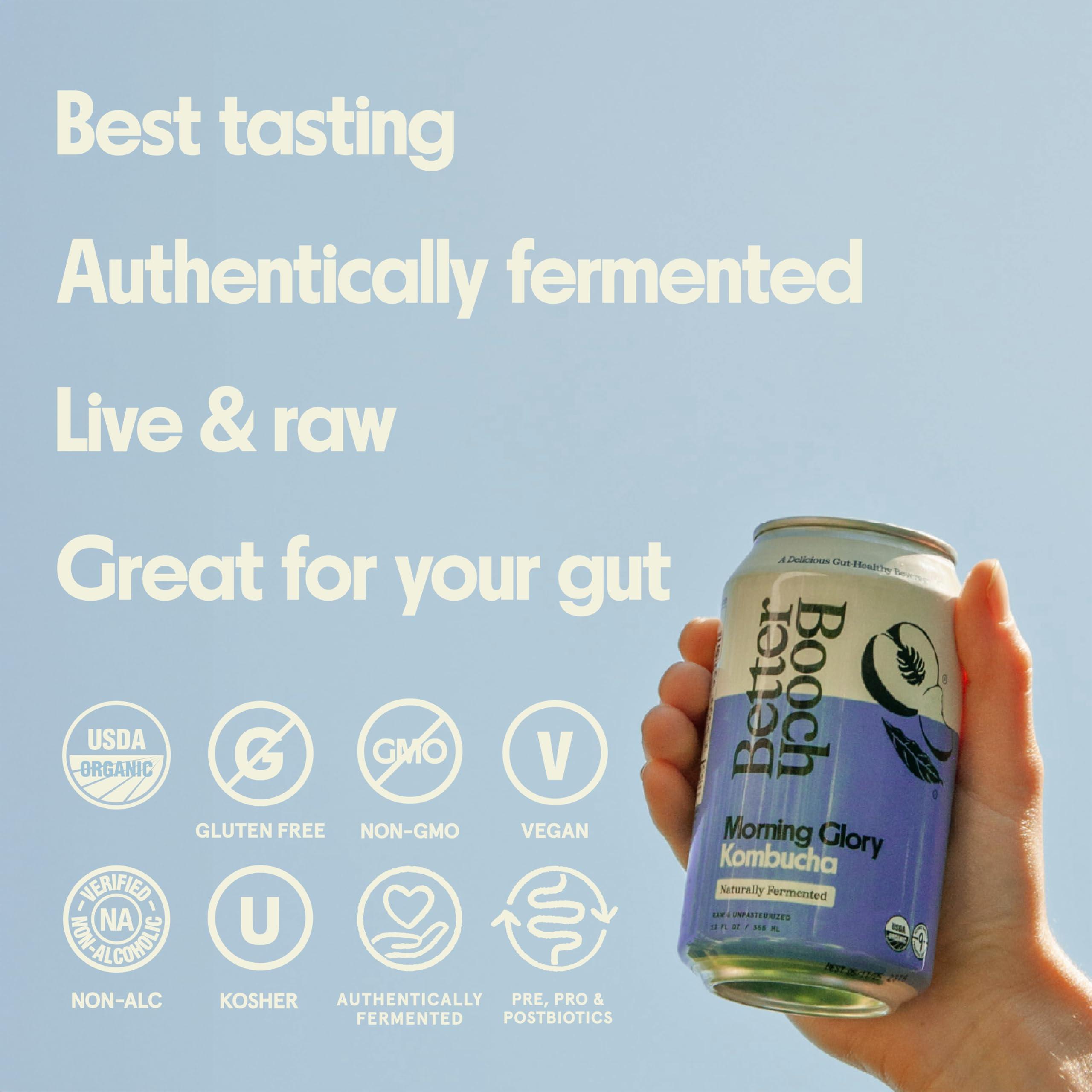 Better Booch Better Booch Organic Kombucha - Probiotic & Antioxidant Rich Raw Sparkling Tea - Low Sugar, Vegan, Gluten Free - Gut Healthy Active Cultures, 12 Fl Oz Cans, 12-Pack (All the Faves)