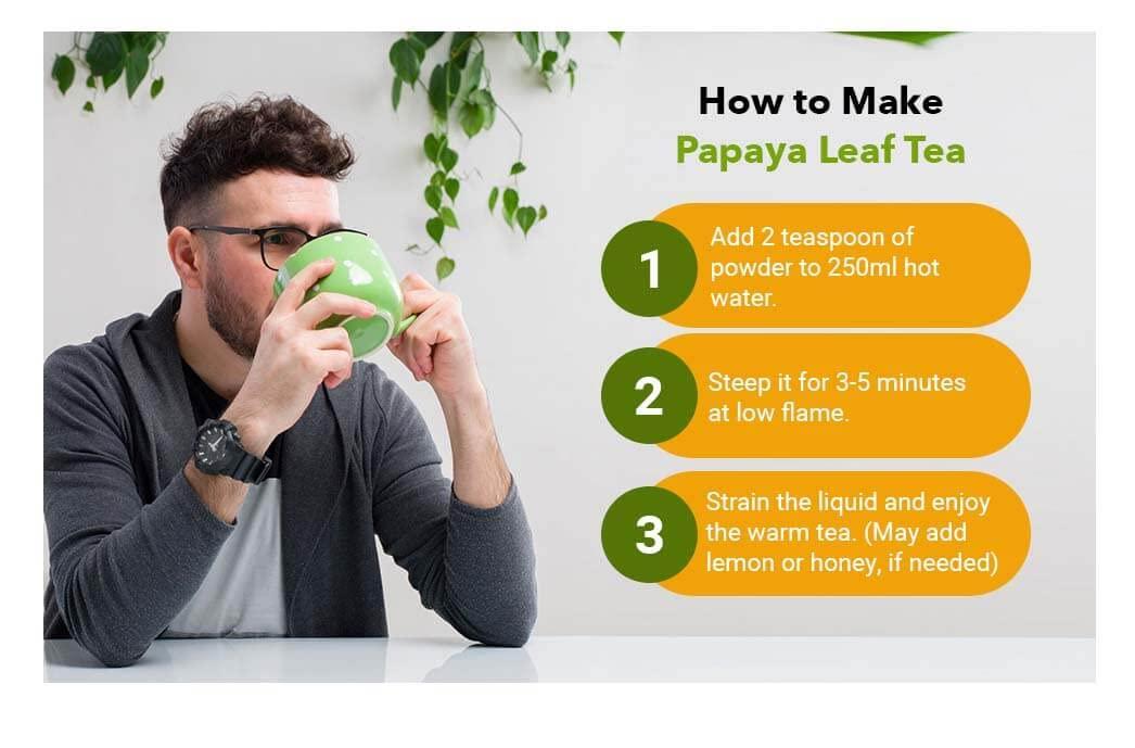 Rainbow Expochem Company Papaya Leaves Powder 454g (1lb / 16 oz) | Carica Papaya | Papaya Leaf Powder Benefits Hair and Skin| Non GMO (1 Pound(16 Oz)) - Green Nectar