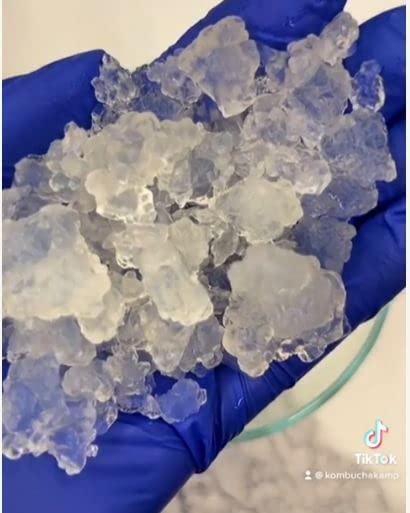 Kombucha Kamp KOMBUCHA KAMP 100% Fresh Water Kefir Grains (4)