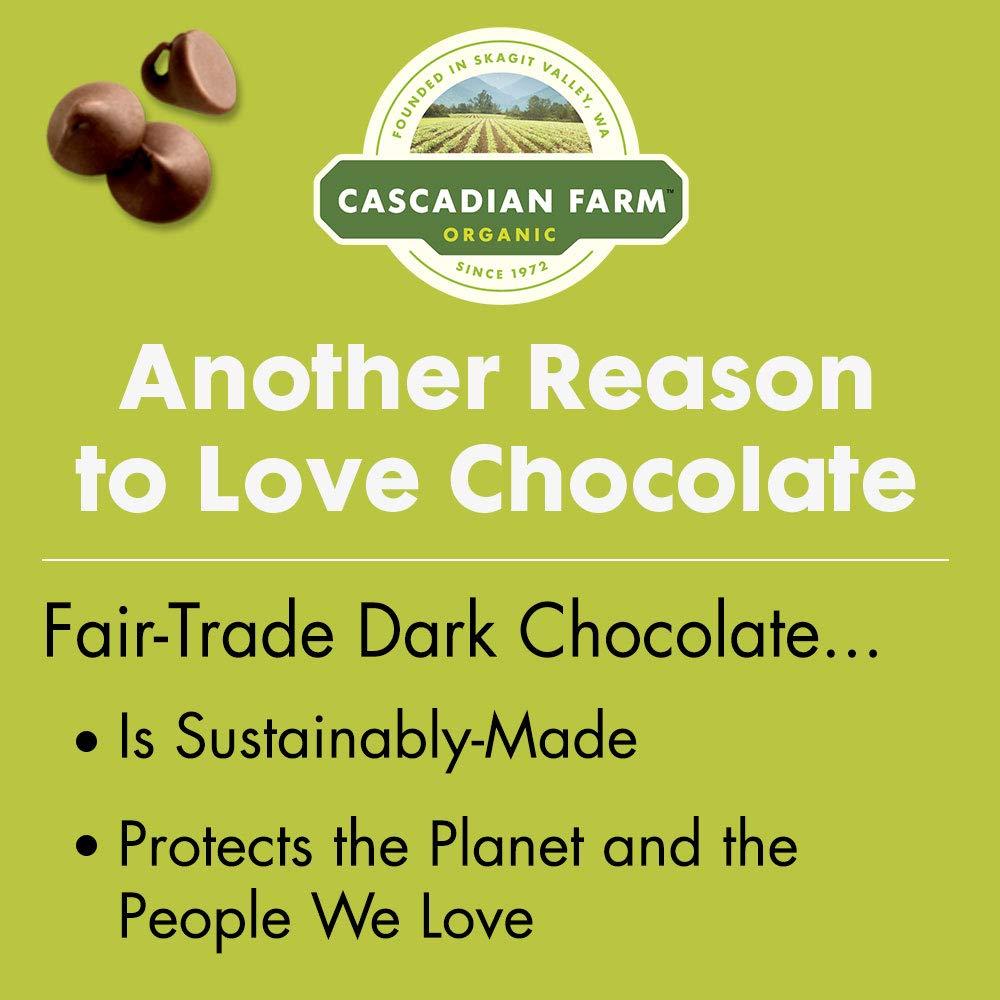 Cascadian Farm Cascadian Farm Organic Chocolate Chip Chewy Granola Bars, 6 Bars, 7.4 oz