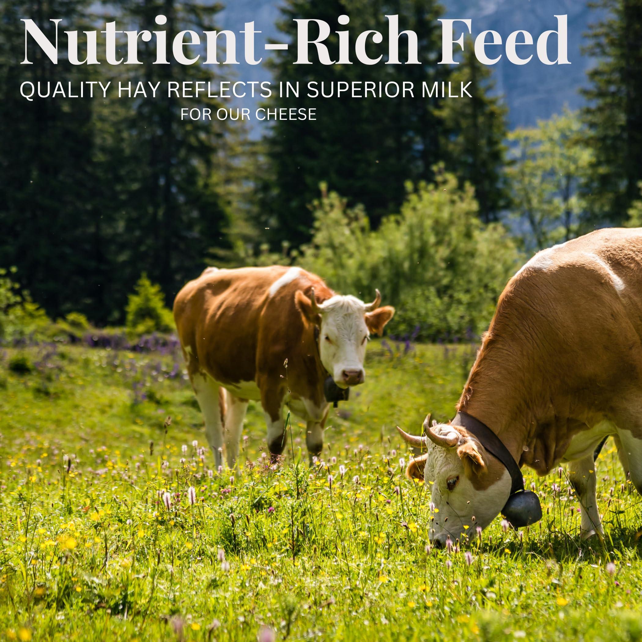 Latteria Soresina Grana Padano Cheese Grated, 1Kg (2.2 lb) - Grana Padano DOP - 16 Months Aged, Authentic Italian Cheese, Imported from Italy