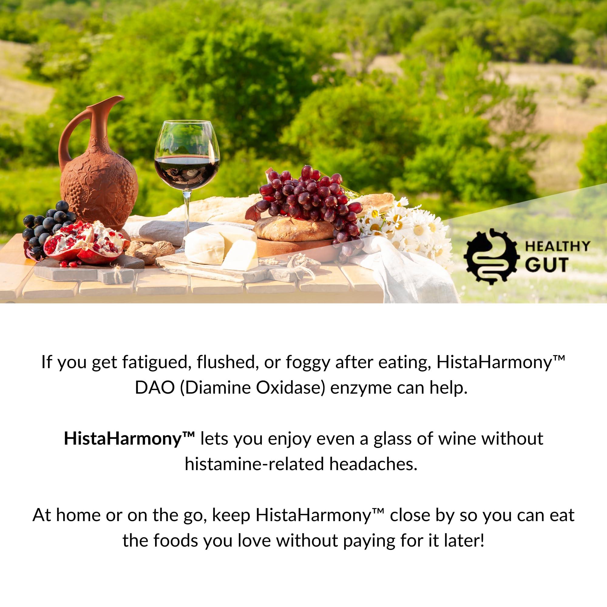 Healthy Gut, LLC Healthy Gut HistaHarmony | Delayed Release DAO Diamine Oxidase Histamine Support Enzyme | 30,000 HDU | 60 Servings