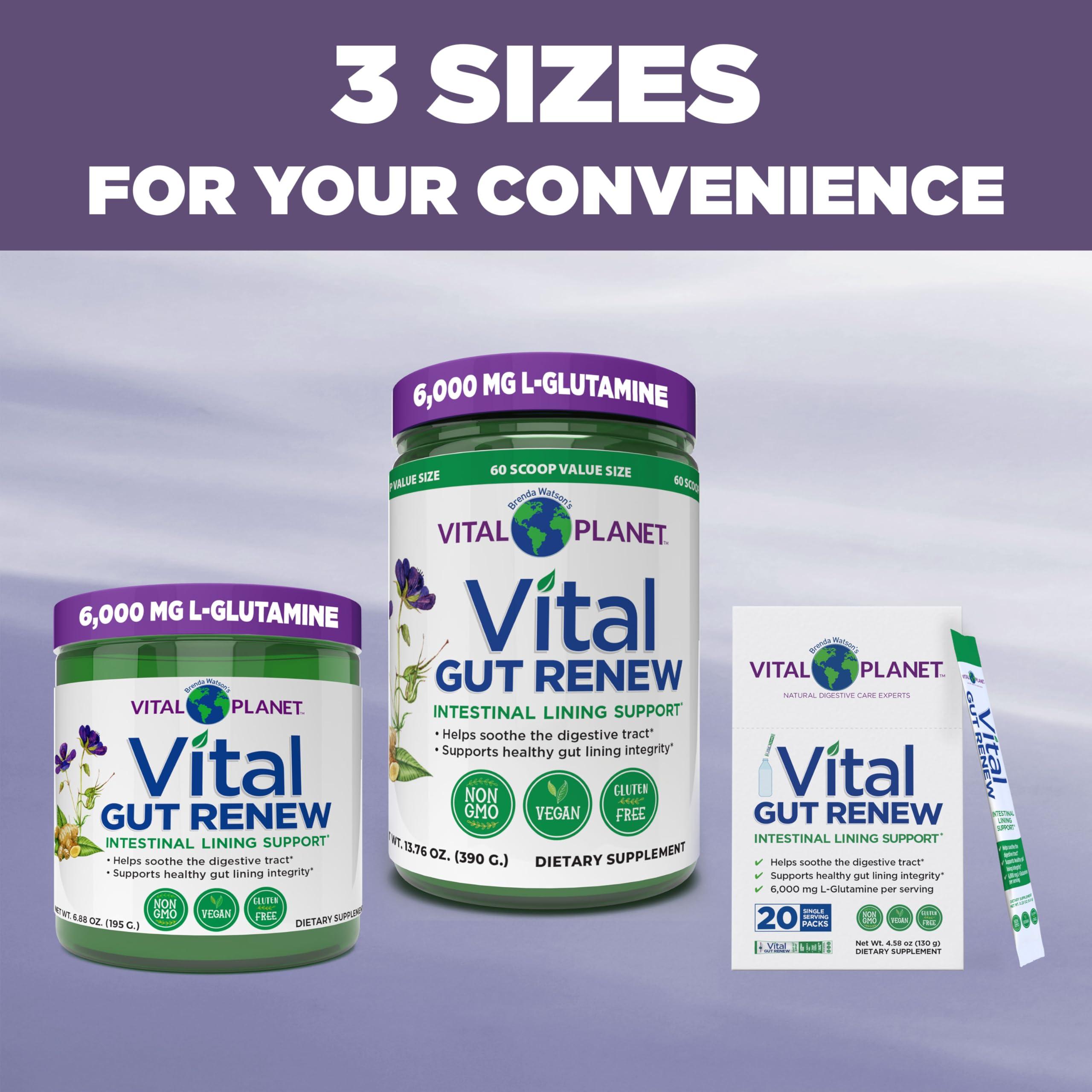 Vital Planet Vital Planet - Vital Gut Renew Powder Supplement for Leaky Gut Repair with L-Glutamine, Marshmallow and Ginger Root, DGL Licorice Root and Organic Aloe Vera, L Glutamine 6000mg 6.88 oz