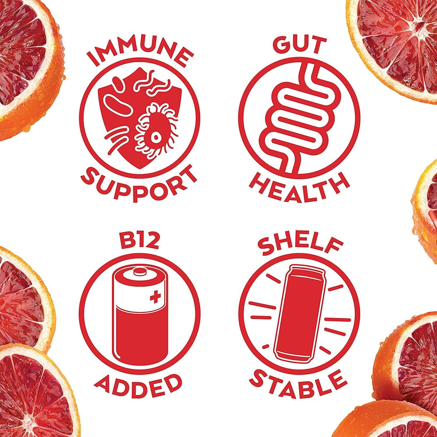 Humm Humm Probiotic Kombucha Zero Sugar Blood Orange - No Refrigeration Needed, Keto-Friendly, Organic, Vegan, Gluten-Free - 12oz Cans (8 Pack)