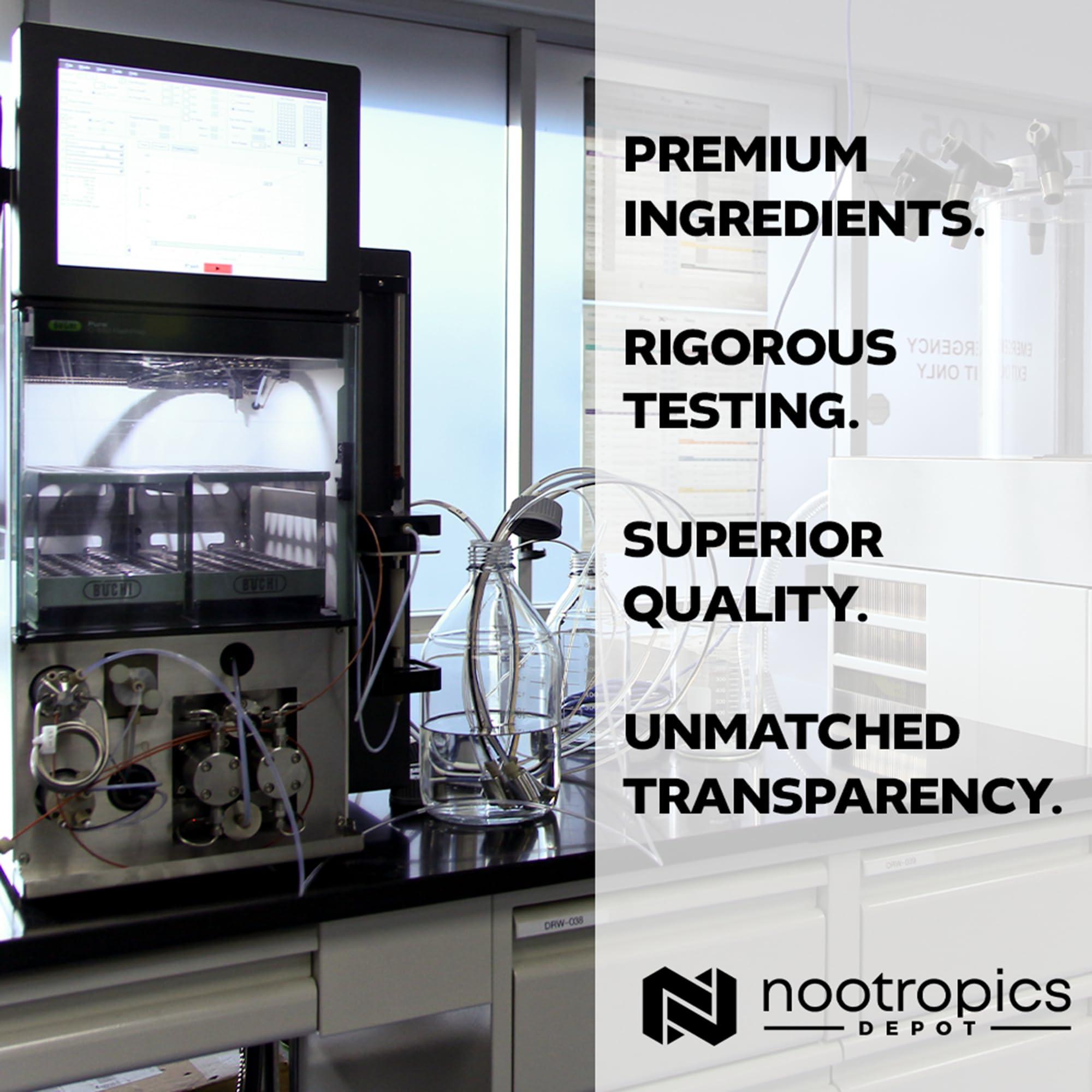 Nootropics Depot Nootropics Depot MicroZinc Capsules | 20mg | Optimized Zinc Supplement | 30 Count