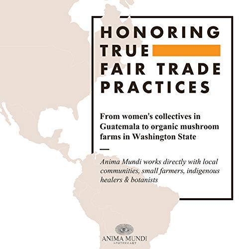 Anima Mundi Apothecary Anima Mundi Matcha Powder - Japanese Single-Origin & Stone-Ground - Certified Organic, Ceremonial Grade Matcha - Small Batch Produced, Cultivated on Solar Powered Farm (1.5oz)