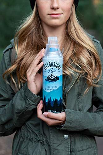 Yellowstone Air Corporation Fresh Forest Air - Yellowstone Air - 8 Liter - 100% Pure and Clean Mountain Air from Yellowstone - Canned Bottled Air