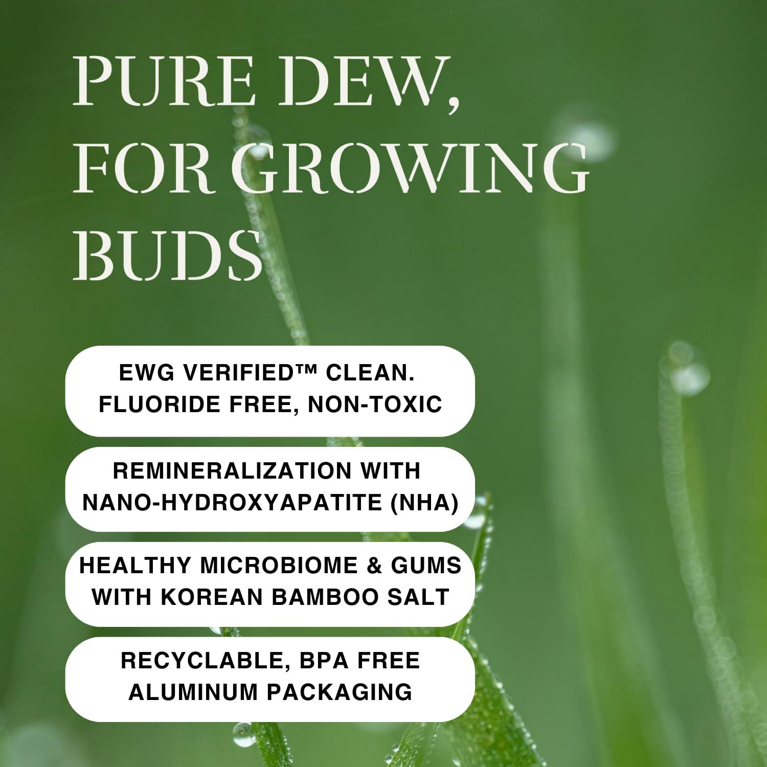 OJOOK OJOOK Kids Fluoride Free Bamboo Salt Toothpaste with nHA - Pure Dew | Nano Hydroxyapatite, Remineralizing, Strengthening Enamel for First Teeth, Safe to Swallow (3oz)