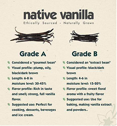 Native Vanilla Native Vanilla Grade A Tahitian Vanilla Beans – Premium Gourmet Whole Bean Pods (10 Pods)…
