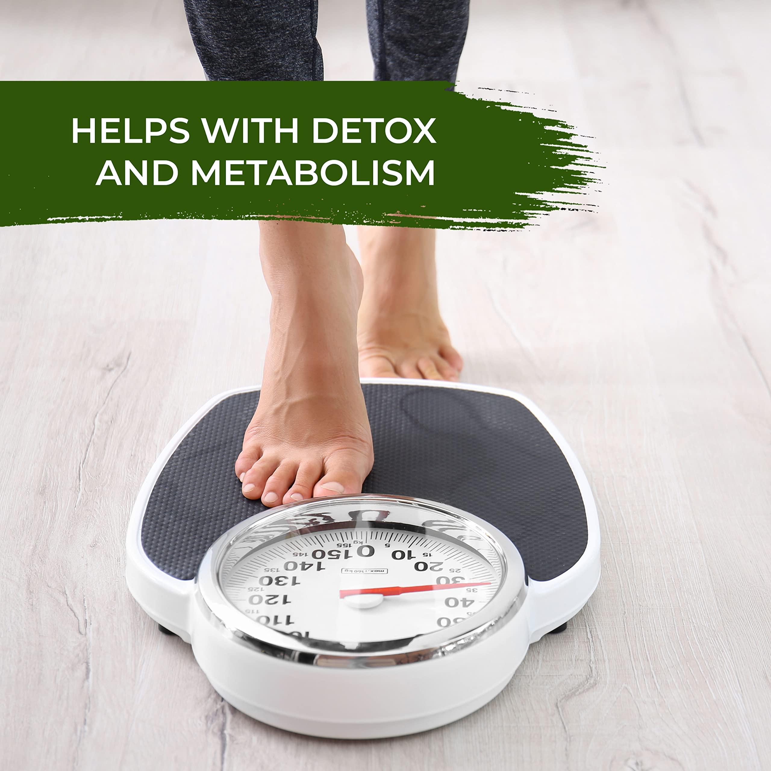 JAPANESE GREEN TEA CO. HARVESTED WITH IN JAPAN Benifuuki candy and Green tea bags (30 packs) from Japanese Green Tea Co – Relaxation Green Tea – Easy to Prepare - Non-GMO - Ideal for Tea Lovers