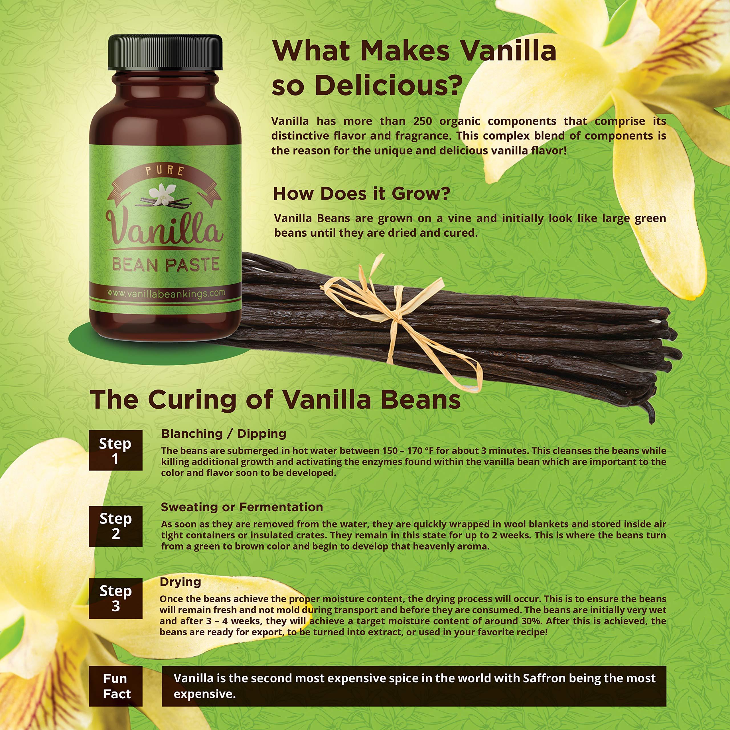 Vanilla Bean Kings Vanilla Bean Paste for Baking and Cooking - Gourmet Madagascar Bourbon Blend made with Real Vanilla Seeds - 8 Ounces