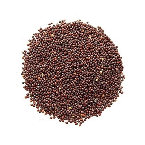 Spice and Chili Mustard Seeds (Whole) Black / Mostaza Negra Entero, 12oz