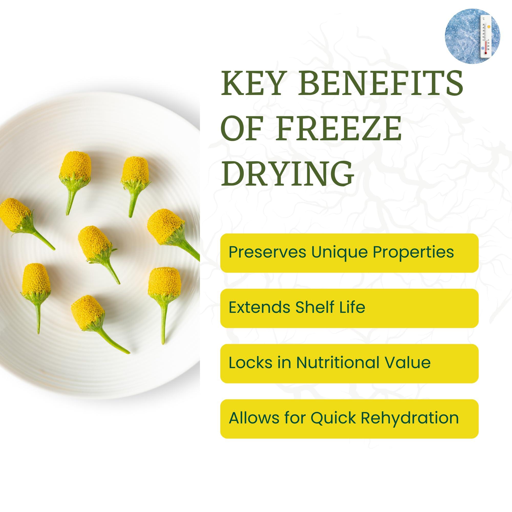 Rooted In Rare Buzz Buttons Edible Flowers for Cocktails | Grown in USA | Spilanthes | Freeze Dried Edible Flowers for Drinks | Szechuan Buttons | Edible Dried Flowers for Drink Garnish | .2oz Pouch