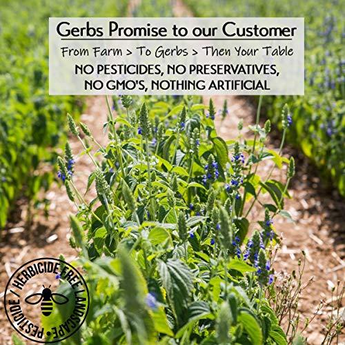 GERBS GERBS Raw White Chia Seeds 2 LBS. Premium Grade | Freshly Harvested & Packaged in Resealable Bulk Bag | Non-GMO, Keto & Paleo Cleared |Great with yogurt, smoothies & oatmeal | Gluten Peanut Free
