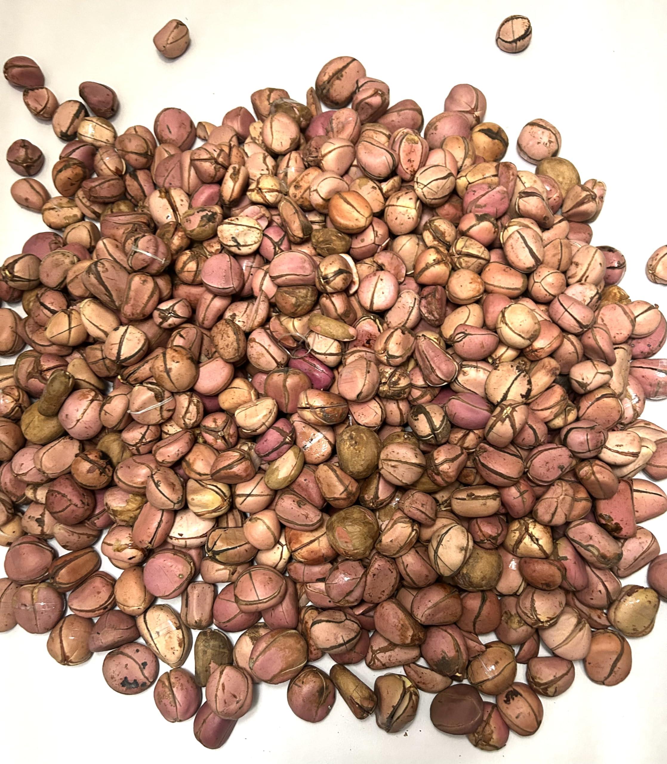 Housoutil Housoutil 2 Pcs Plastic Wash Basin Round Dish Pan Wash Tub Bathroom Water Tub Face Cleansing Basin for Home Kitchen and Camping M