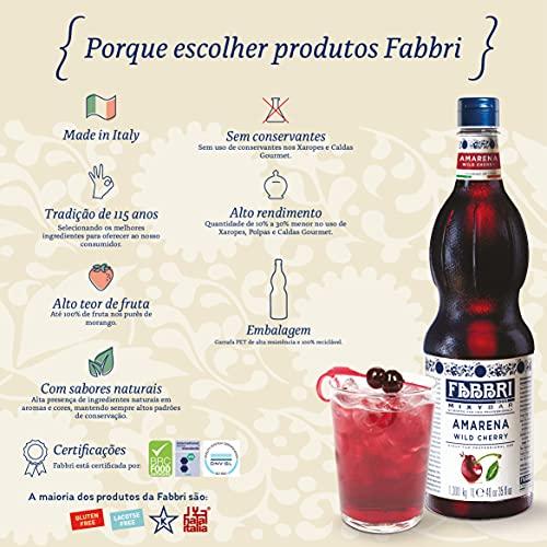 Fabbri Fabbri Flavoring Syrup, Mango, Made in Italy, 33.8 Ounce (1 Liter)