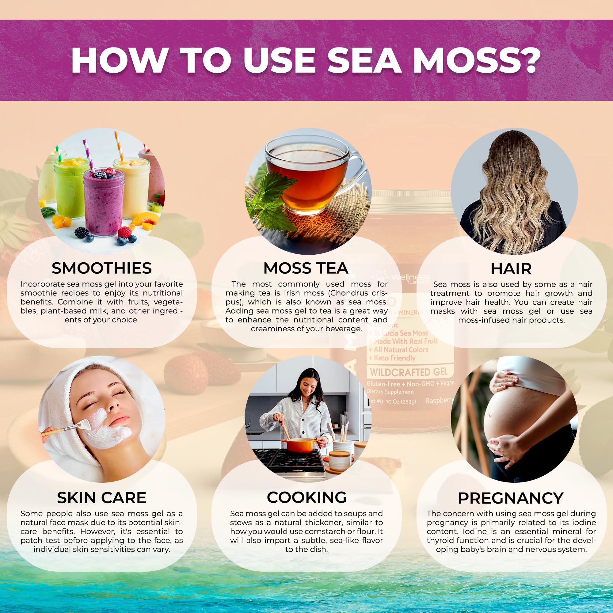 WELLNESS LABSRX Irish Sea Moss Gel Organic Raw - Wildcrafted Superfood Seamoss Gel - Elderberry Flavor, Vitamin and Mineral-Rich from Pristine Caribbean Waters, Immune and Digestive Health Support - 10 oz.