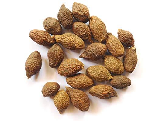 Nutrixia Food Niranjan Phal- Niranjan Phal - Niranjan Fal - - Malva Nuts - Sterculia Lychnophora (500 Gms)