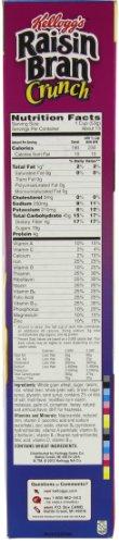 Raisin Bran Kellogg's Raisin Bran Crunch 24.8-ounce (Pack of 2)