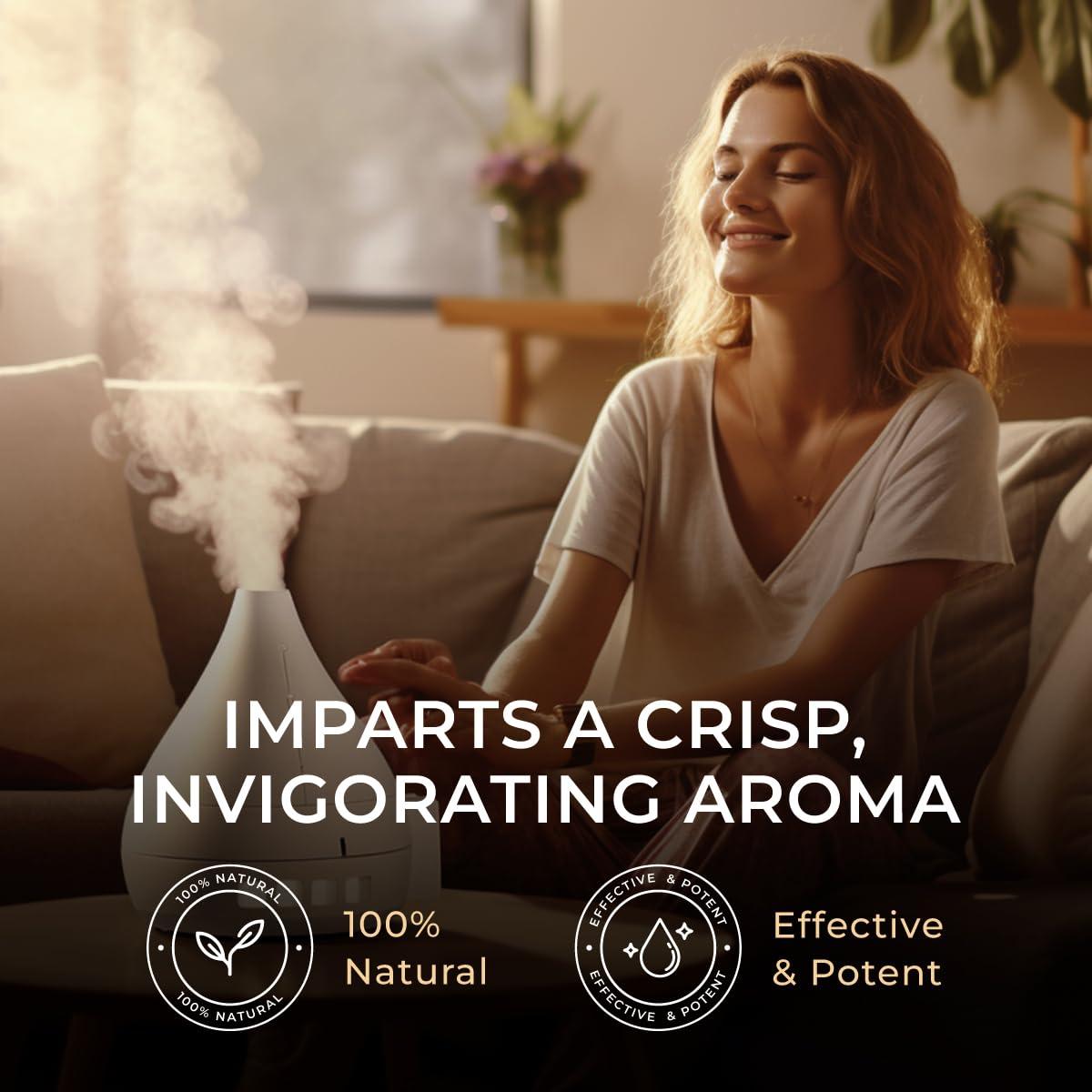 DEVA DEVA Vegan Probiotic with FOS Prebiotics Supplement - 2 Billion CFU with 100 MG of Prebiotics Per Serving for Men & Women - Non-Dairy Gluten Free - Naturally Shelf Stable - 90 Capsules (Pack of 2)