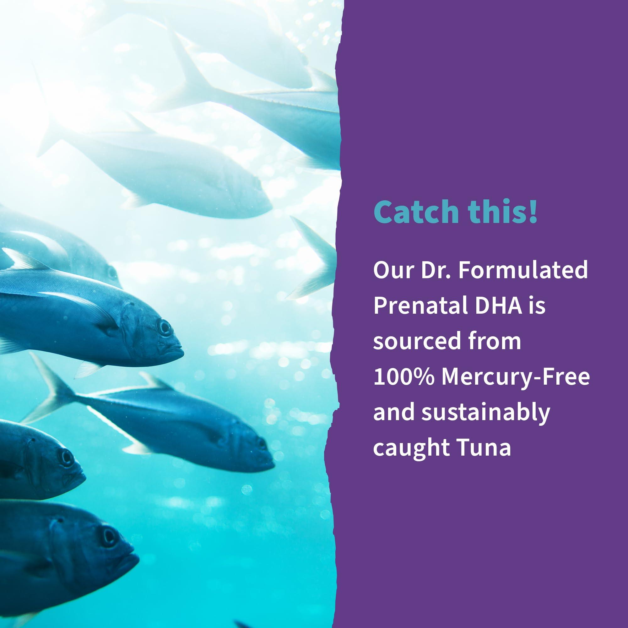 Garden of Life Garden of Life Dr. Formulated Prenatal DHA Fish Oil - 550mg DHA & DPA in Triglyceride Form 100% DV Vitamin D3, Single Source, Mercury Free Omega 3 DHA Supplements for Women's Health, 30 Softgels