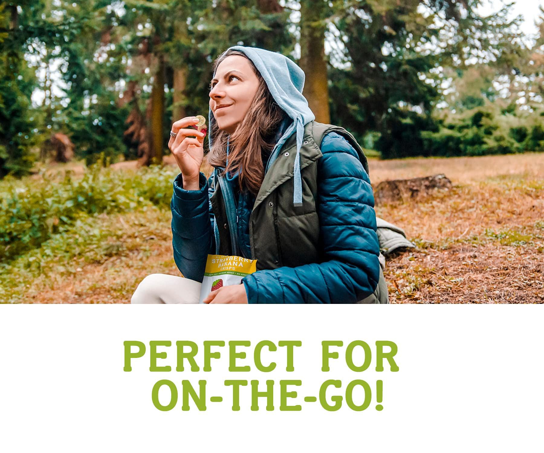 Nature\'s Turn Nature\'s Turn Freeze-Dried Fruit Snacks, Raspberry Crisps, Pack of 12 (0.53 oz Each)