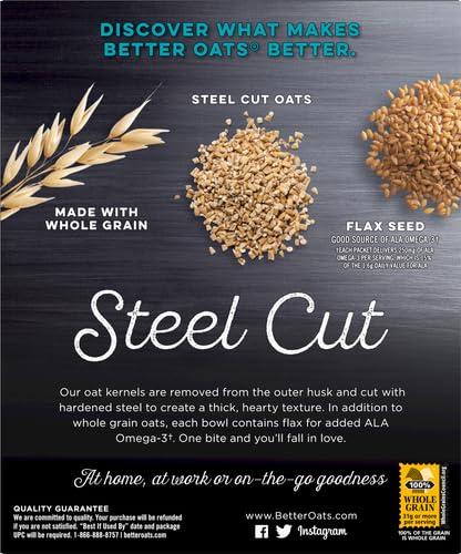 Better Oats Better Oats Original Steel Cut Oatmeal Packets, Instant Oatmeal Packets with Steel Cut Oats and Flax Seeds, Quick Oatmeal Pouches Ready in 2.5 Minutes, Original Flavor, Pack of 10, 11.6 OZ Pack