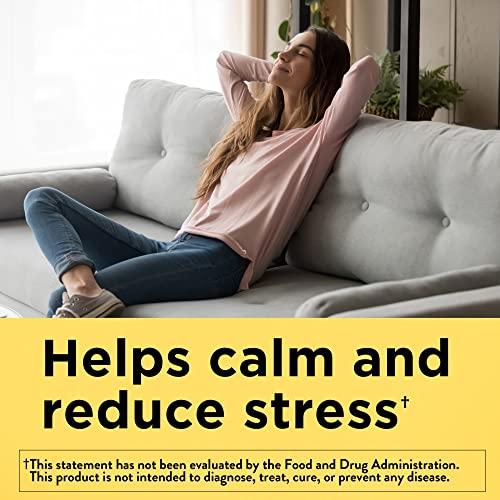 Nature Made Nature Made Ashwagandha Gummies, Vegan, KSM 66 Ashwagandha for Stress Support, 60 Count, 30 Day Supply