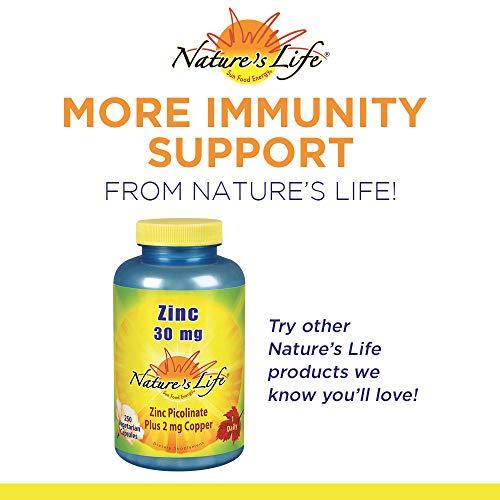 Nature's Life Nature's Life L-Lysine Powder | Helps Support Healthy Immune Function | 100% Pure Natural L-Lysine | Vegetarian, Unflavored, No Sugar | 460 Servings