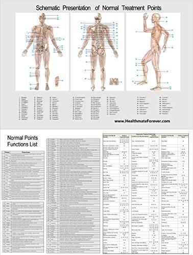 HealthmateForever FDA Cleared HealthmateForever PM10AB 10 Modes Mini Body Electrical Back Pain Relief Massager Provide Body Relaxation Experience PM10AB + Extra Lower Back Pain Toning Belt