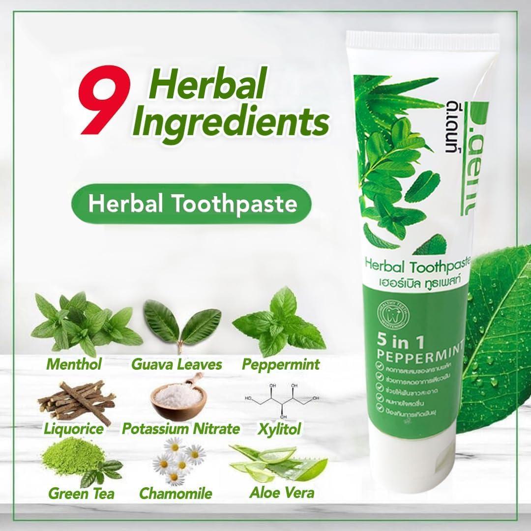 D.Dent D.Dent 5-in-1 Herbal Toothpaste Peppermint with 9 Herbal Ingredients