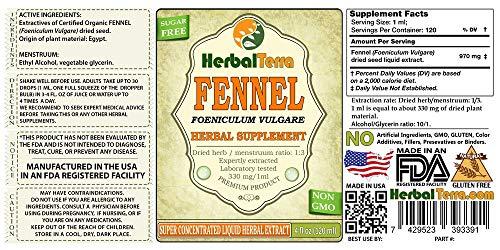 Herbal Terra LLC Fennel (Foeniculum Vulgare) Tincture, Organic Dried Seeds Liquid Extract (Brand Name: HerbalTerra, Proudly Made in USA) 30x2 fl.oz (30x60 ml)