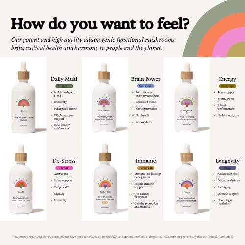 Rainbo Rainbo 11:11 Multi Mushroom Tincture, Dual Extract Mushroom Supplement for Comprehensive Immune Support, Brain Support, Liquid Lion's Mane & Turkey Tail, Vegan, Non GMO, 3.4 fl oz