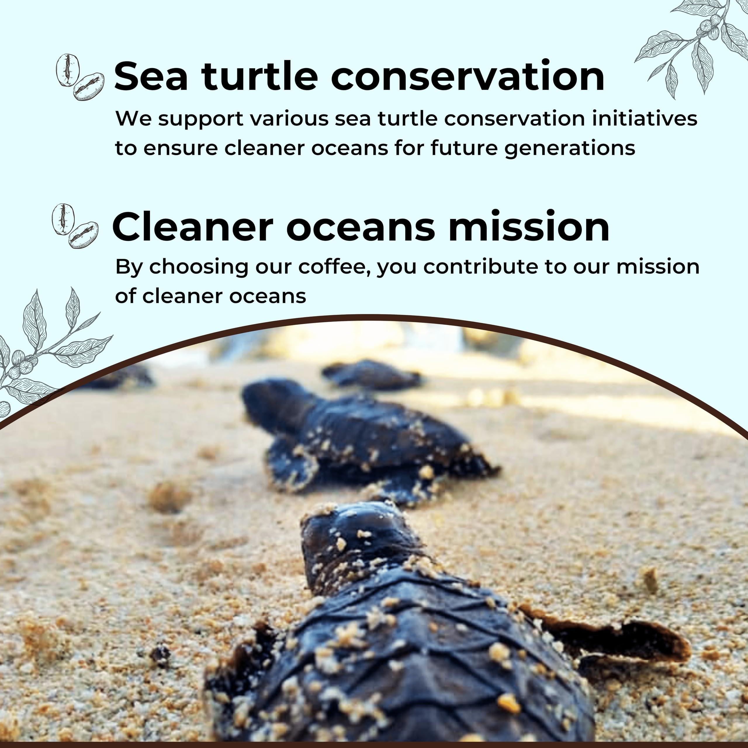 Barred Woods Maple Products Organic Pure Vermont Maple Syrup in Glass Bottle - From Barred Woods Maple (Grade A Amber Rich, Quart (32 oz))