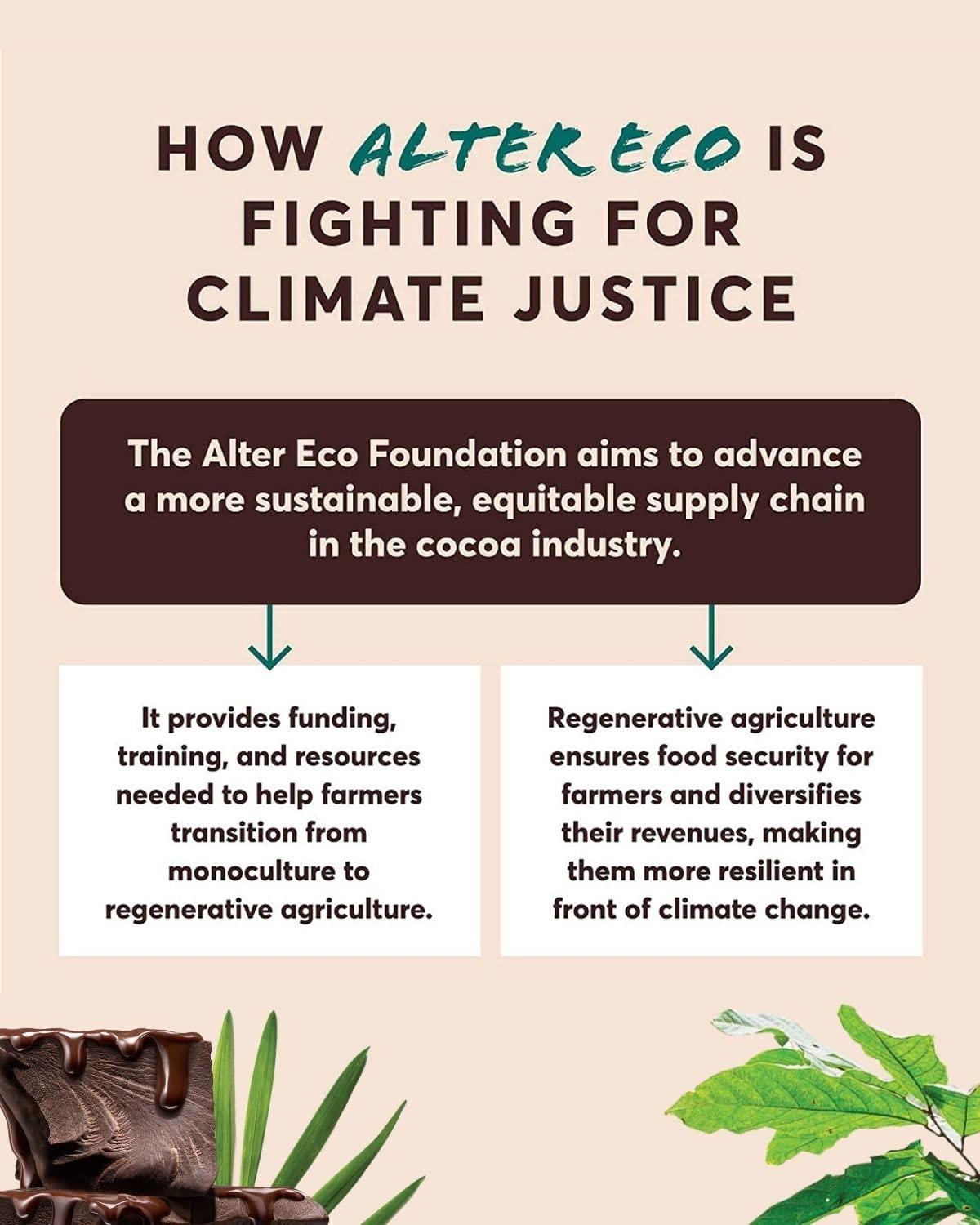 Alter Eco Alter Eco | Dark Chocolate Bars | Pure Dark Cocoa, Fair Trade, Organic, Non-GMO, Gluten Free (2-Pack Mint Blackout)