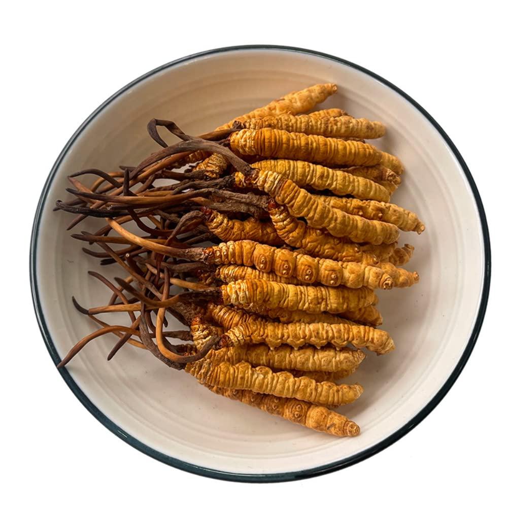 Generic 10 Gram 100% Wild Himalayan Cordyceps Sinensis Chinese Caterpillar Fungus Cordyceps Sinensis Wild Cordyceps,Dong Chong Xia Cao,Memory Support Immune Support,Natural Organic Herbal Supplements.