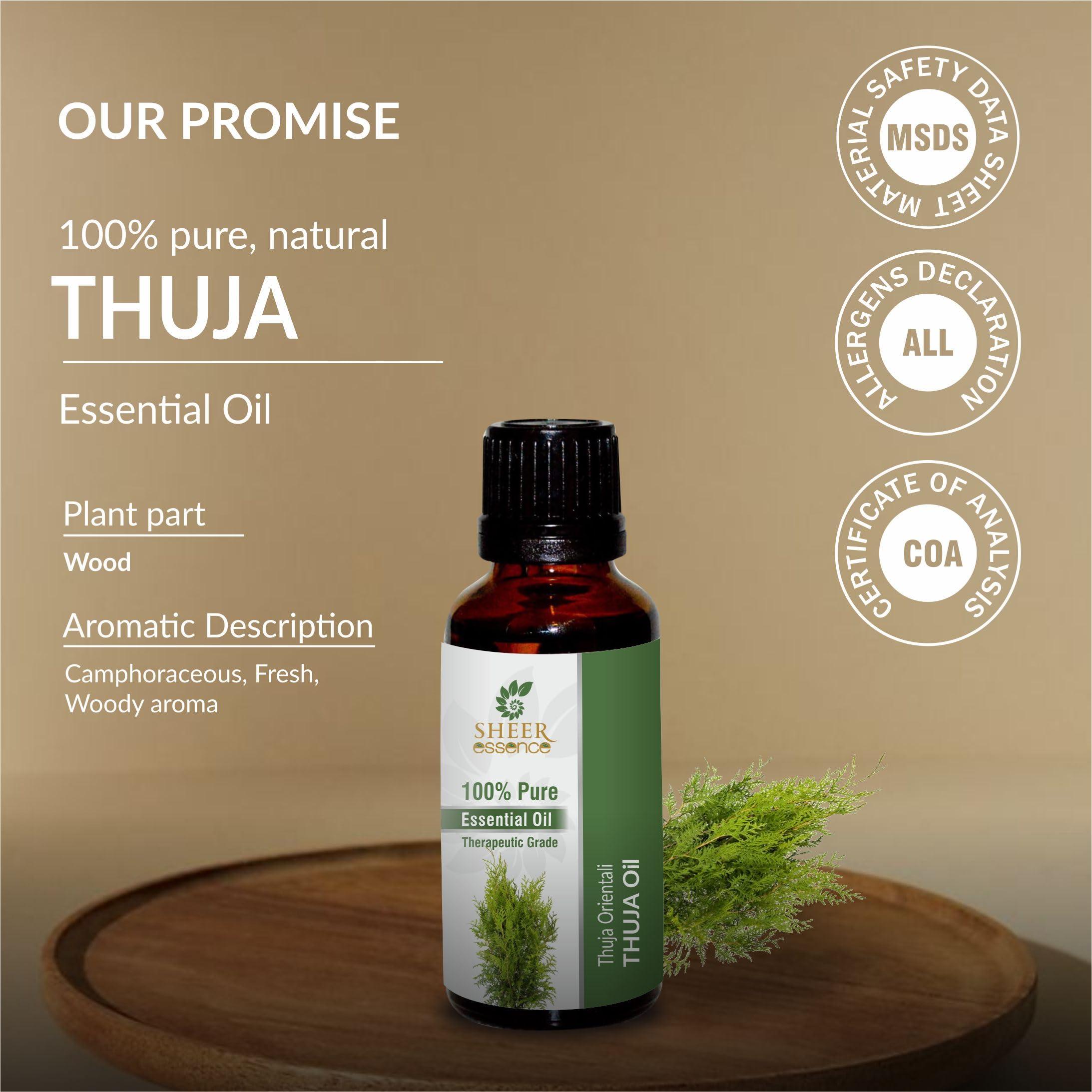 Sheer Essence Thuja Oil -(Thuja Orientali)- Essential Oil 100% Pure Natural Undiluted Uncut Therapeutic Grade Oil 1.01 Fl.OZ