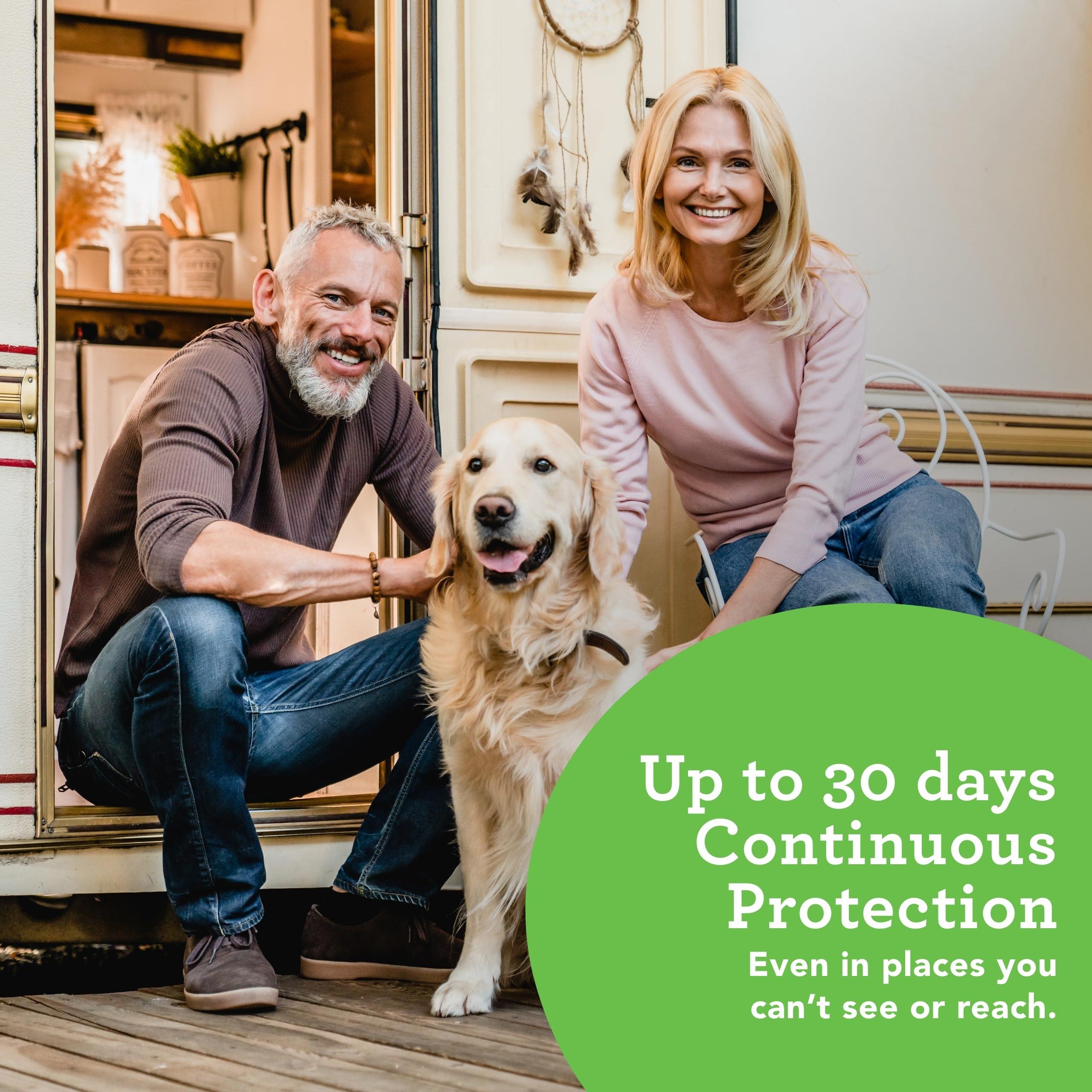 Stay Away Stay Away Spiders Deterrent - Indoor Spider Deterrent Pouches for Attic, Crawl Space, Window Sill & More - with Plant-Based Ingredients & Essential Oils - 6-Pack with Extended Release Pouch Pod