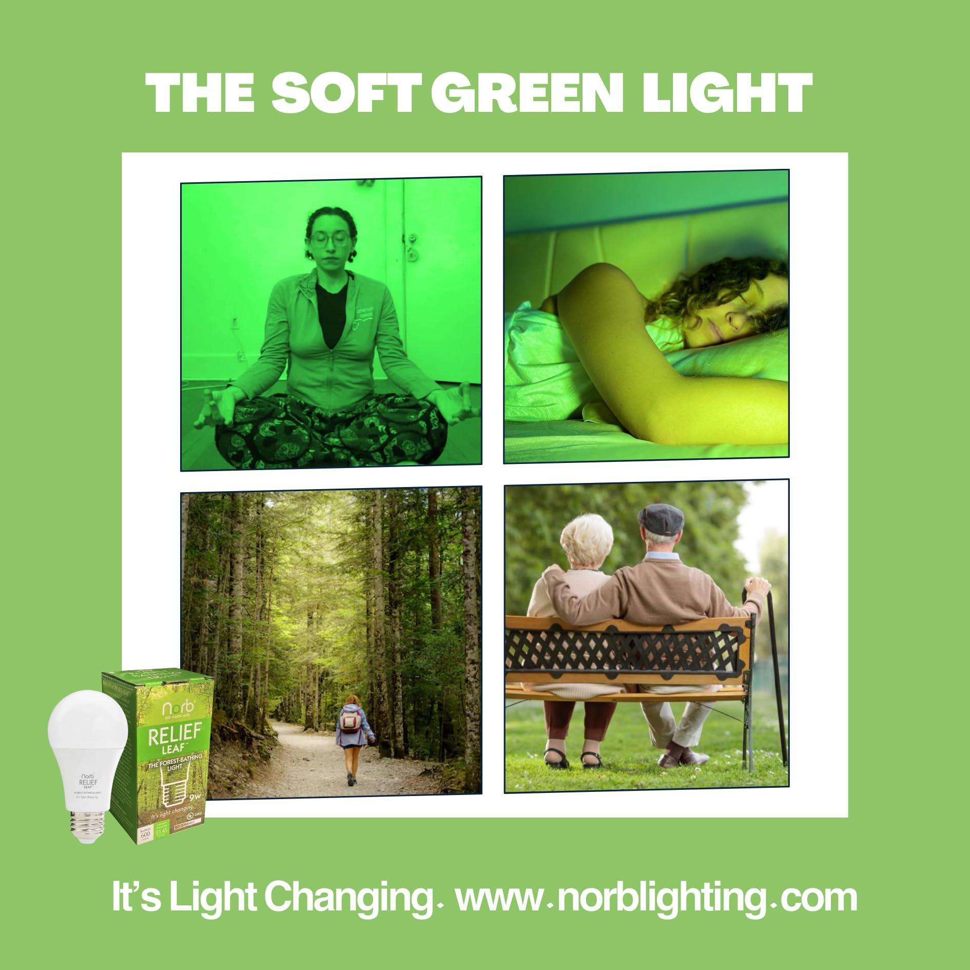 Norb NorbRELIEF Leaf - Soft Green Forest Bathing LED Light Bulb for Meditation, Relaxation, Migraine, Pain Relief and Calm - A19 Standard Base - Patent Pending Non-Drug Pain Relief. Green Light Therapy.