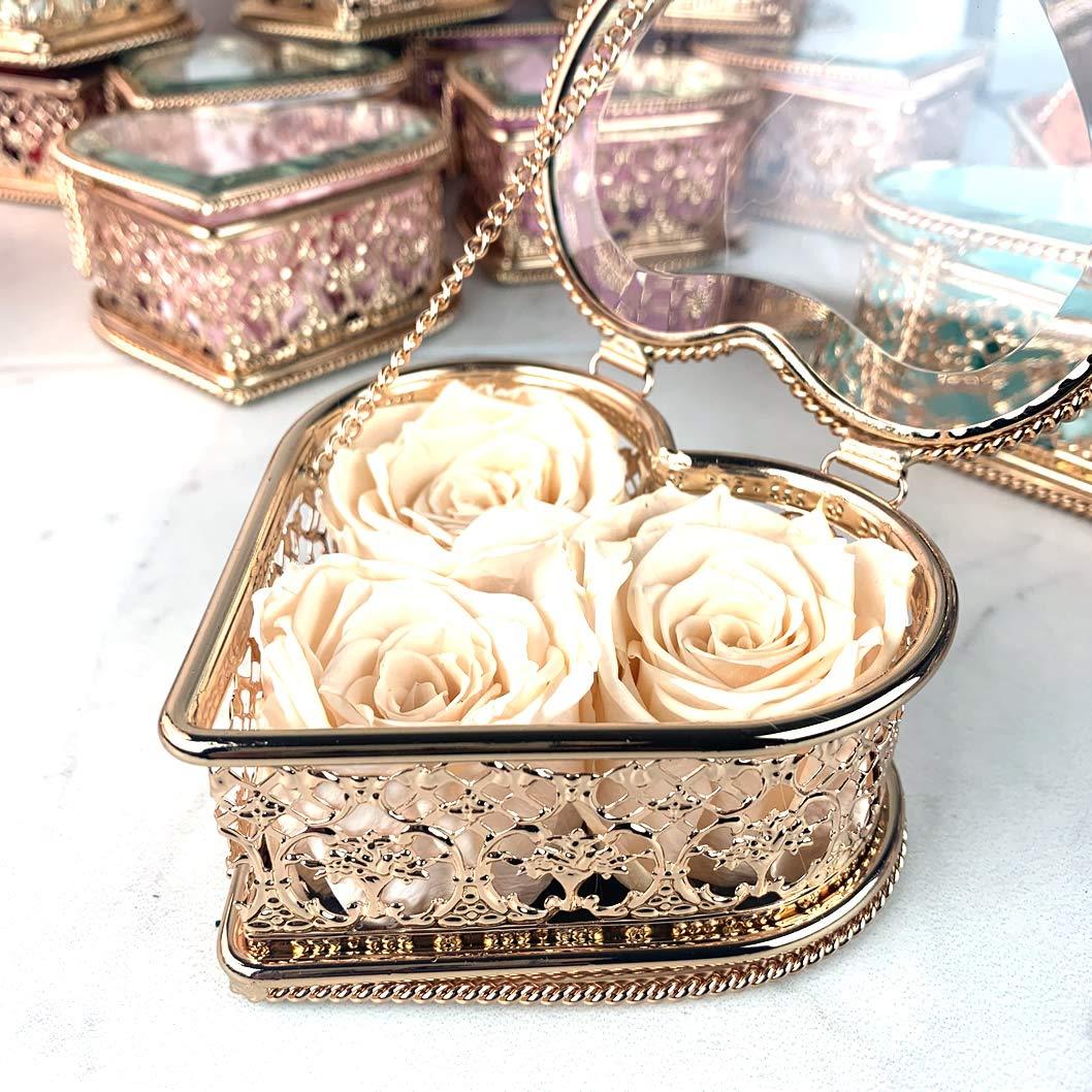 Mayorga Mayorga Medium Roast Whole Bean Coffee, 2 lb bag - Mayan Blend Organic Coffee Roast - Direct Trade, Specialty Grade, Non-GMO 100% Arabica Coffee Beans