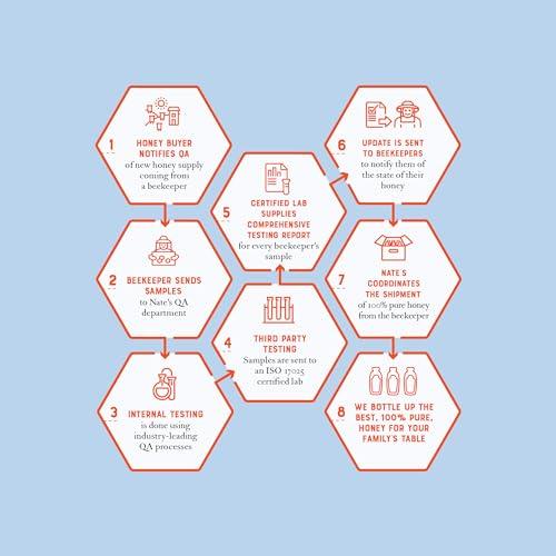 Nature Nate's Nate\'s 100% Pure, Raw & Unfiltered Honey - Award-Winning Taste, 32oz. Squeeze Bottle (6 Pack)