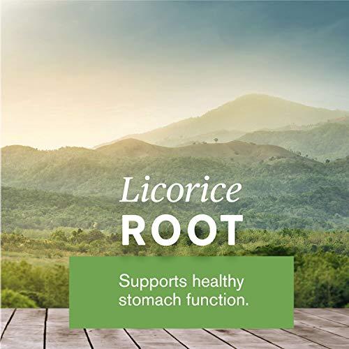 Nature's Sunshine Nature's Sunshine Psyllium Hulls Combination 11 Oz