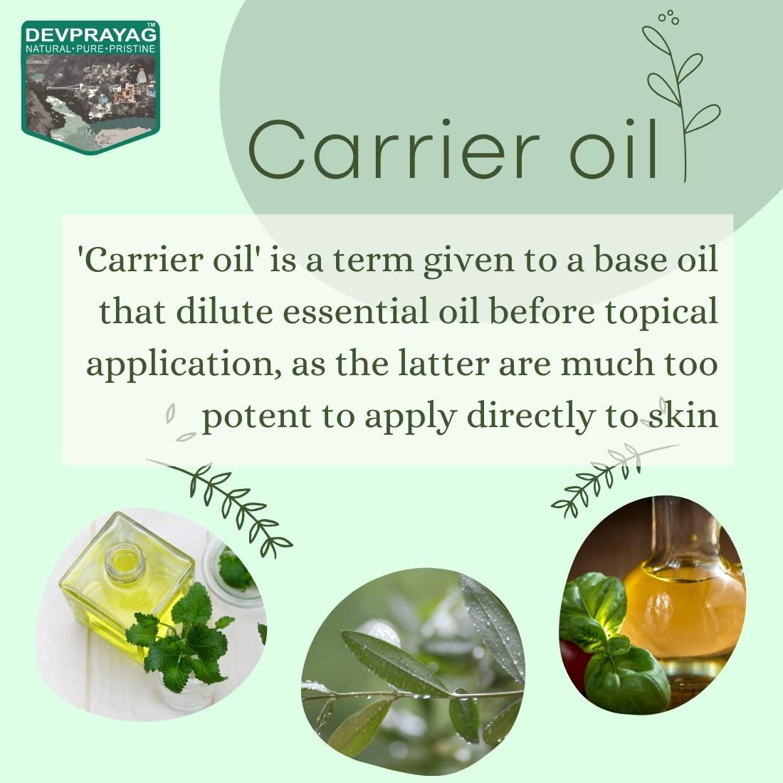 DEVPRAYAG DEVPRAYAG Pure Strawberry Seed Oil (Fragaria ananassa) with Glass Dropper (Pack of Three) 100mlx3 (10 oz)