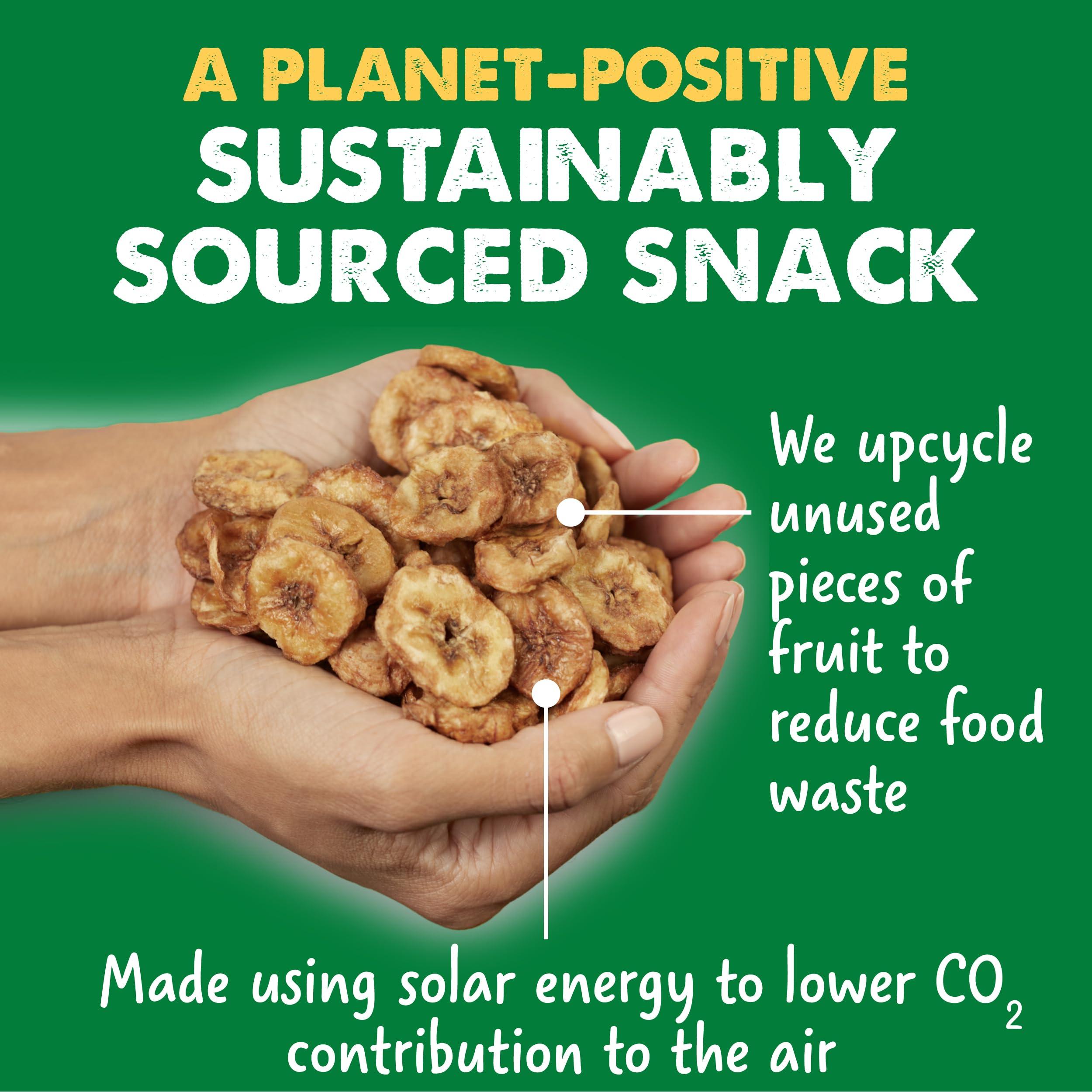 Dole Dole Good Crunch Banana Dried Fruit Bites, Gluten Free & Vegan Snack, 0.7oz Bags (Pack of 12)