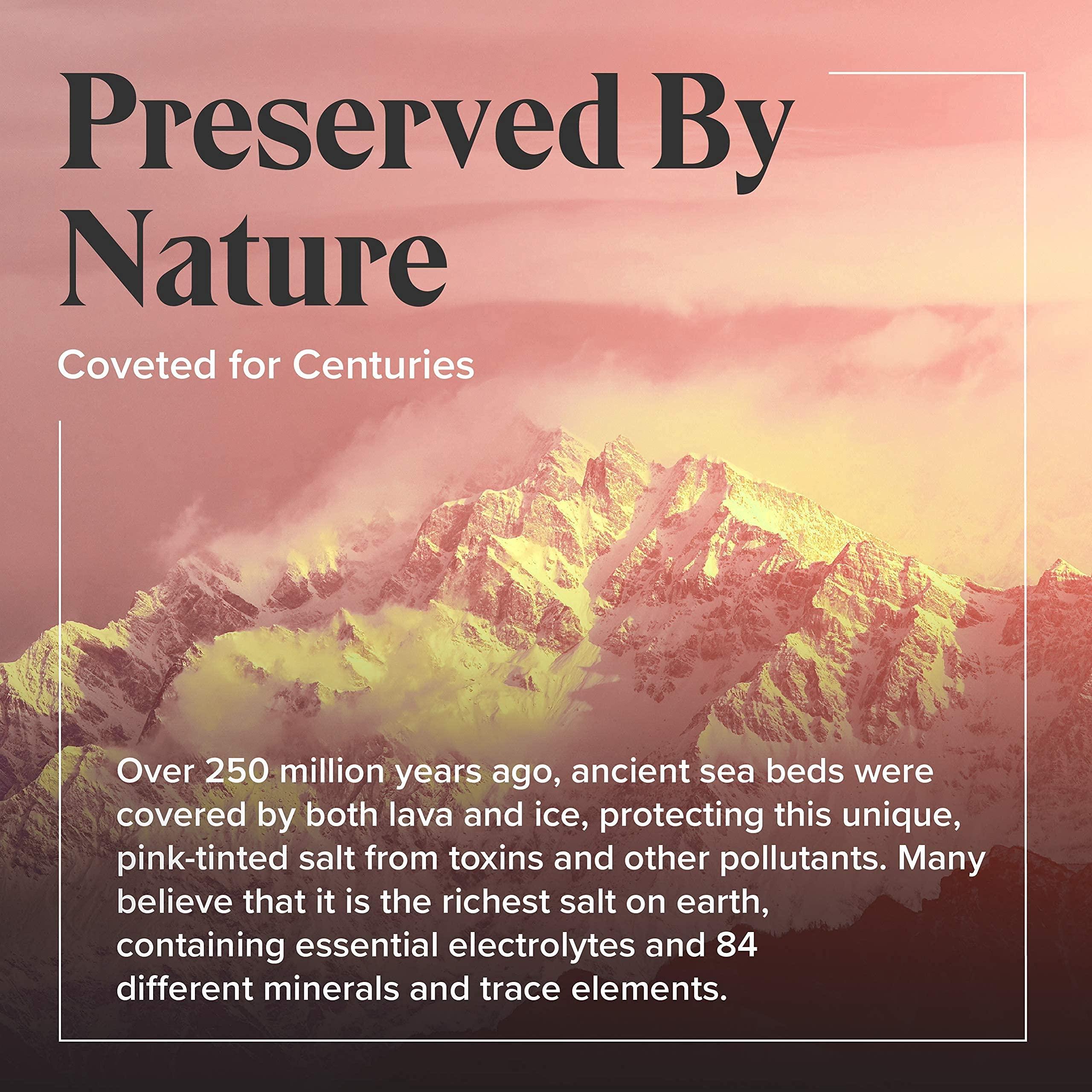 BIENA BIENA Chickpea Snacks - Crunchy Roasted Chickpeas - High Fiber Vegan Protein Snacks for Adults and Kids - 4-Pack, 5 Ounce Bags - Honey Roasted