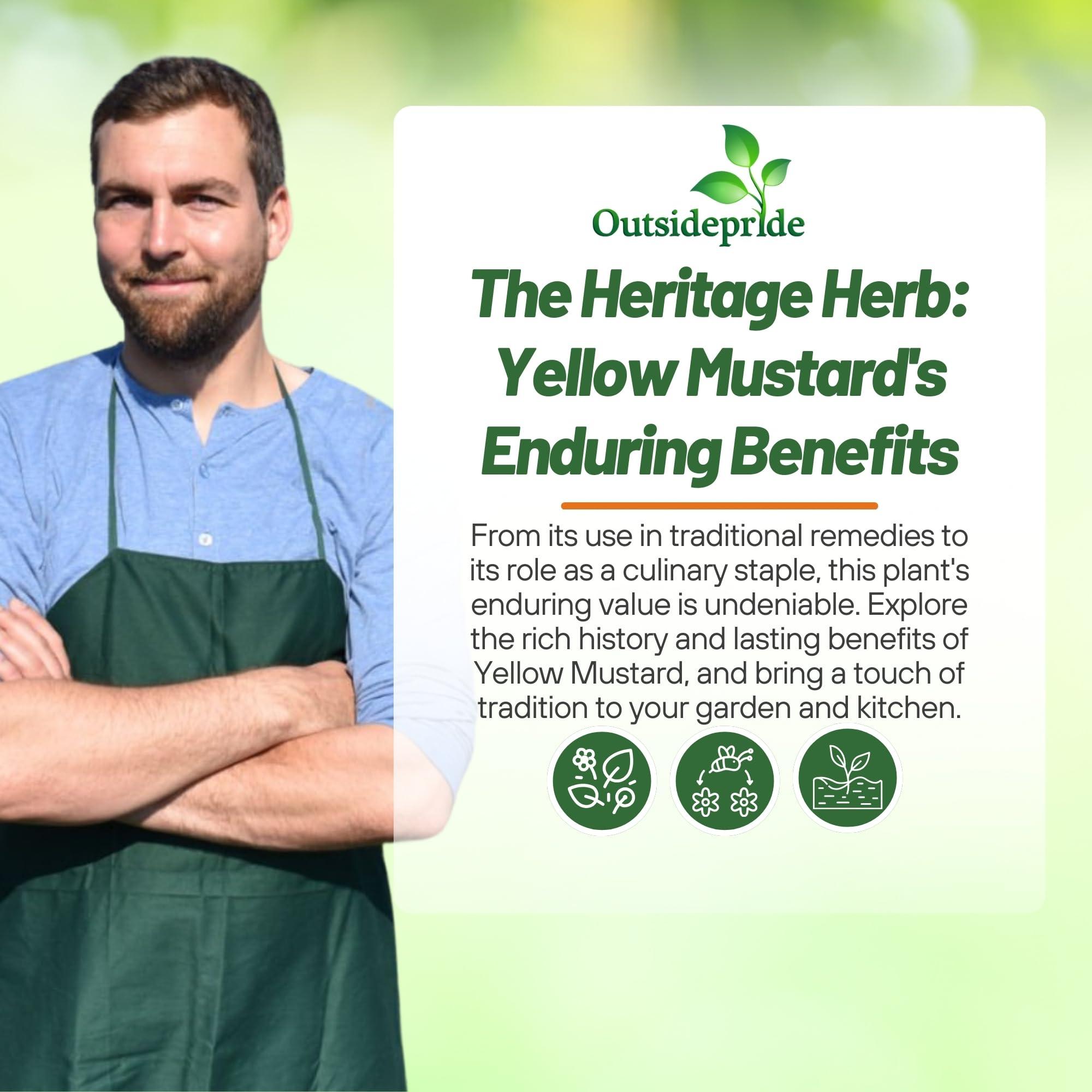 Outsidepride Outsidepride 10000 Seeds Annual Yellow Mustard Herb Garden Seed for Microgreens, Sprouts, & Cooking