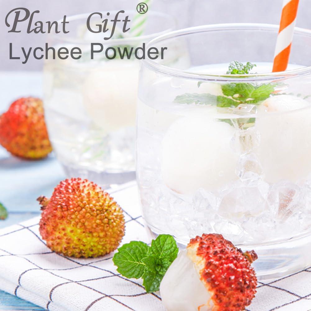 ALOHA ALOHA Organic Plant Based Protein Powder Bundle, Vanilla 19.6 oz & Chocolate 19.6 oz, 15 Servings Each