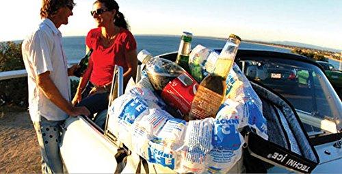 Techni Ice Techni Ice Standard 2 Ply Disposable/One to Two-time Use Dry Ice Replacement Sheets (20)