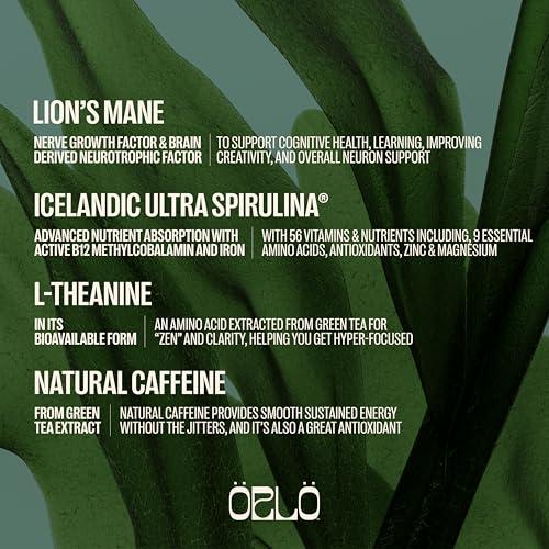 Orlo ORLO BRAIN PERFORMANCE BAR Vegan Protein Bars for Brain & Energy Support Focus & Memory, Pre & Post Workout Recovery Gluten Free Snack with L-Theanine, Lions Mane, Spirulina & More (SINGLE BAR)